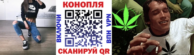 Марихуана Ganja купить закладку Гурьевск